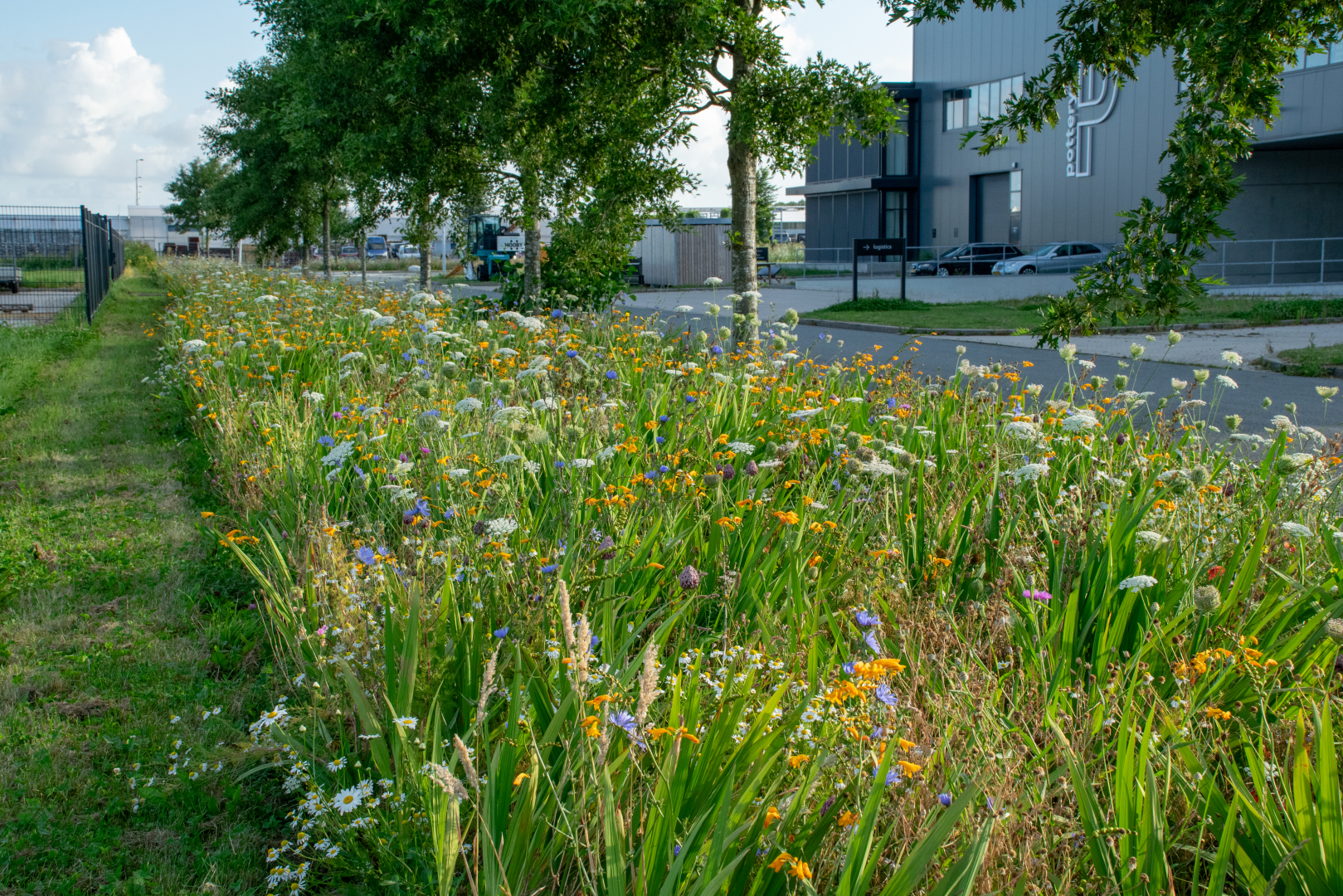 Kleurrijke transformatie op het ITC-terrein in Hazerswoude-Dorp