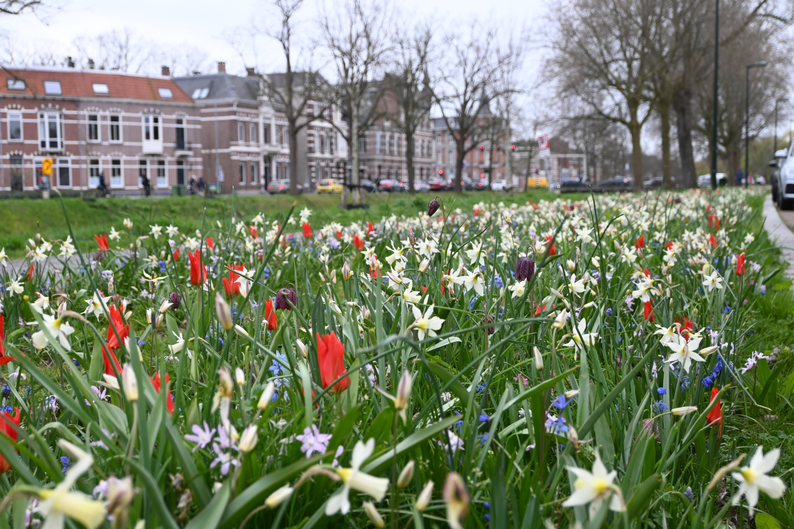 JUB Holland werkt samen met partners aan een duurzame bloembollenteelt 