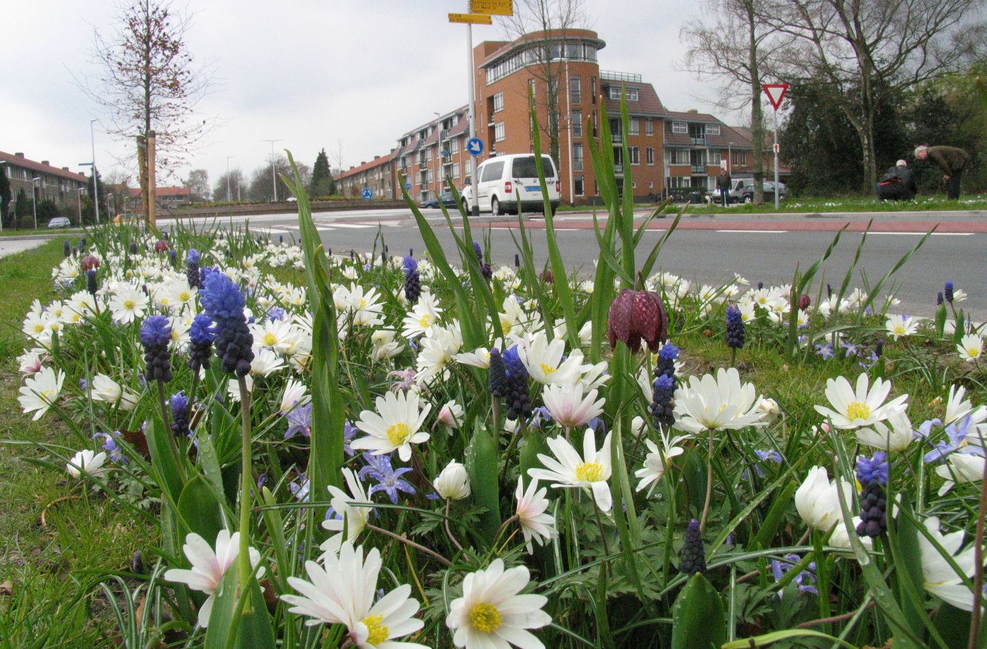 Machinaal mengsels planten