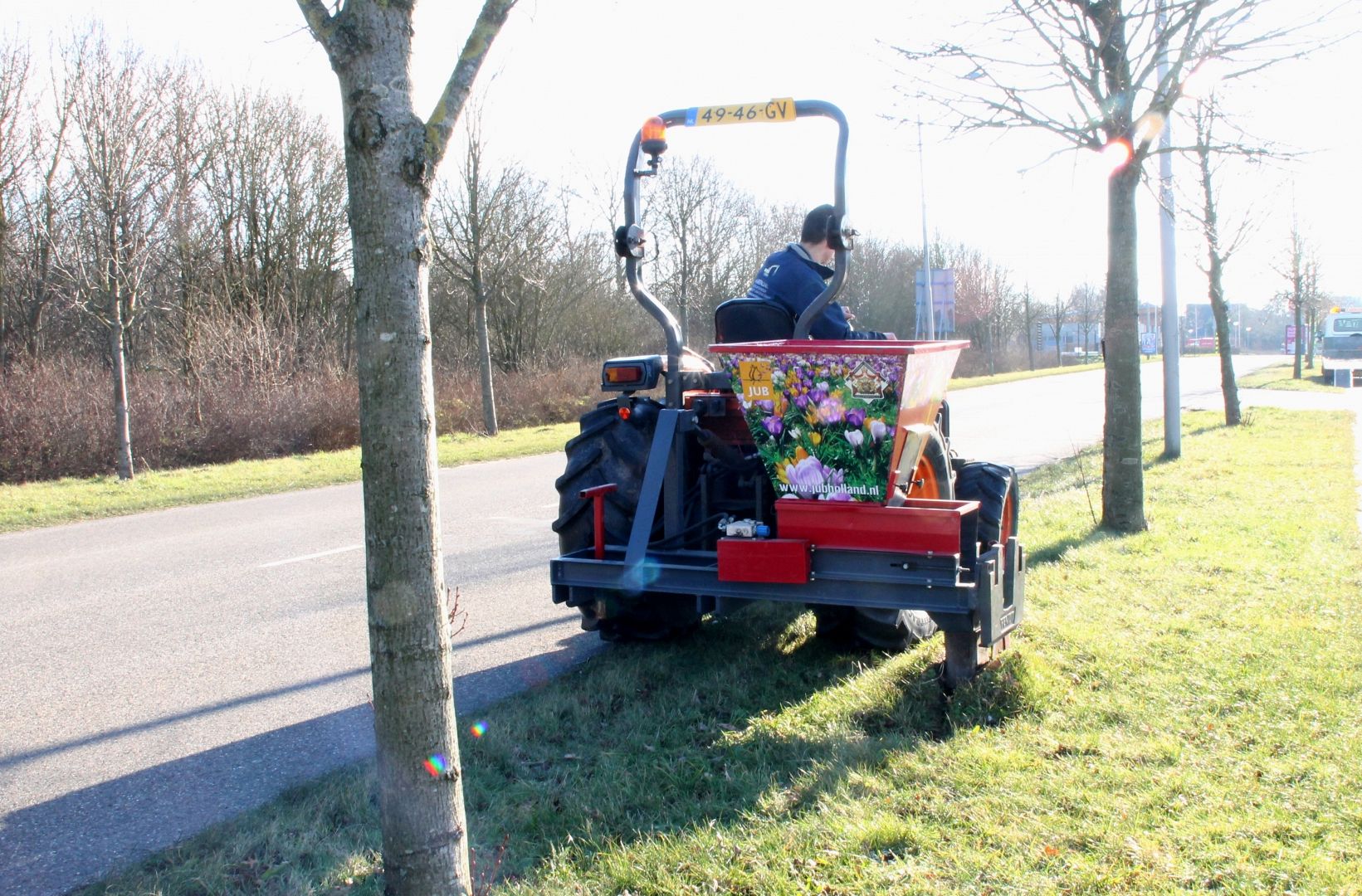 Machinaal bloembollen planten