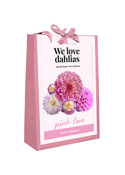 X 1 TAS 4 DAHLIAS 'WE LOVE DAHLIAS' PINK LOVE I