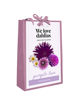 X 1 TAS 4 DAHLIAS 'WE LOVE DAHLIAS' PURPLE LOVE I