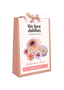 X 1 TAS 4 DAHLIAS 'WE LOVE DAHLIAS' SALMON LOVE I