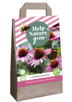 X 1 TAS 10 ECHINACEA PURPUREA - HELP NATURE GROW I