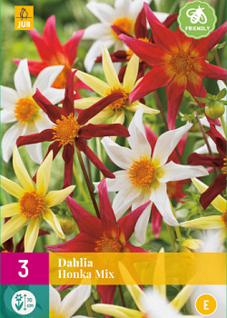 X 3 DAHLIA HONKA MIX I