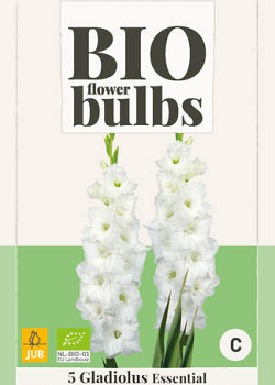 X 5 BIO GLADIOLUS ESSENTIAL 10/12