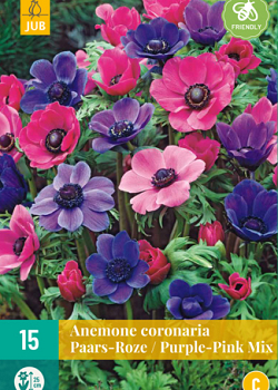 X 15 ANEMONE CORONARIA PAARS-ROZE MIX 5/6