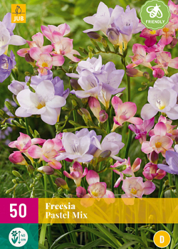 X 50 FREESIA PASTEL MIX 5/+