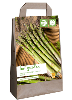 X 1 GARDEN BAG 5 ASPARAGUS / ASPERGE GIJNLIM  I