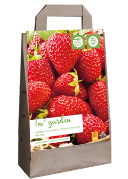 X 1 GARDEN BAG 10 FRAGARIA / AARDBEIENPLANTEN MAXIM I