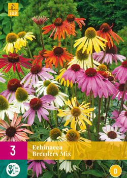 X 3 ECHINACEA BREEDERS MIX I