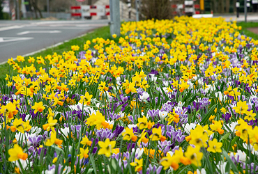 Straßenränder