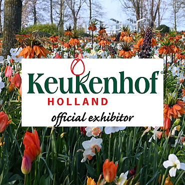 20 maart - 11 mei: Keukenhof JUB border nr. 14