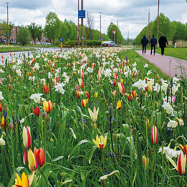 Overheden en Instellingen