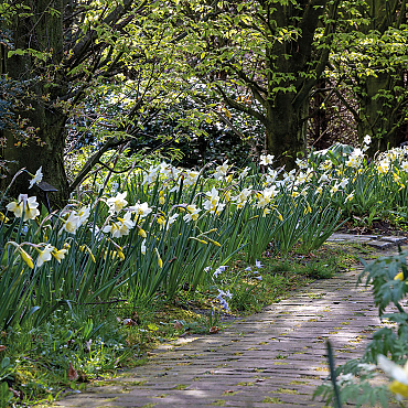 Tuin- en landschapsontwerpers