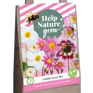 X 1 TAS 5 DAHLIA SWEET MIX - HELP NATURE GROW I