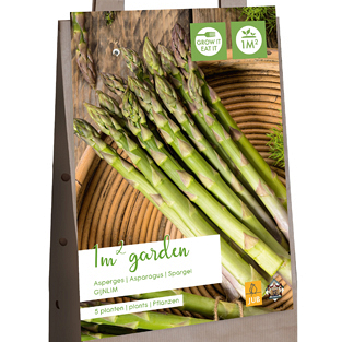 X 1 GARDEN BAG 5 ASPARAGUS / ASPERGE GIJNLIM  I