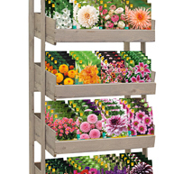 DISPLAY 'BESTSELLERS' (24 x 5) I