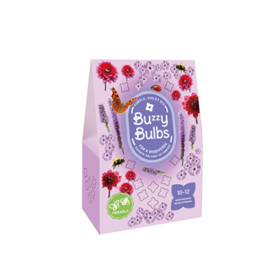 X 1 TAS 10 BUZZY BULBS PURPLE-VIOLET MIX I