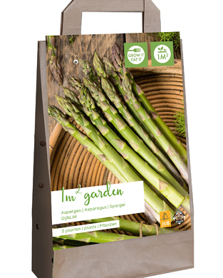 X 1 GARDEN BAG 5 ASPARAGUS / ASPERGE GIJNLIM  I