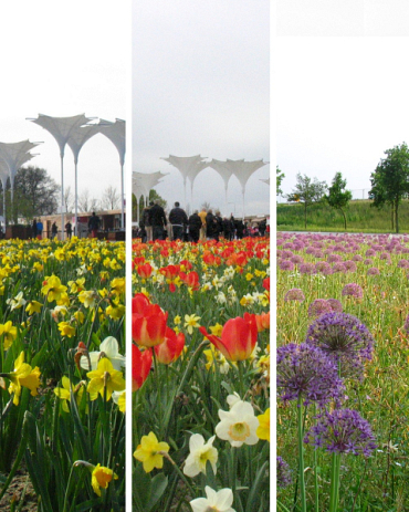 X 1 M2 MENGSEL FLORIADE I