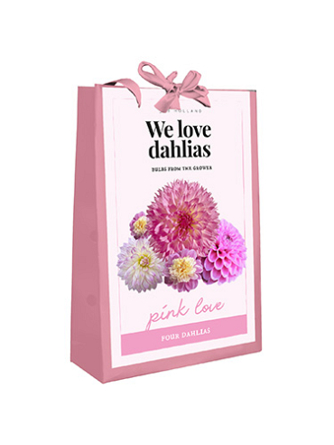 X 1 TAS 4 DAHLIAS 'WE LOVE DAHLIAS' PINK LOVE I