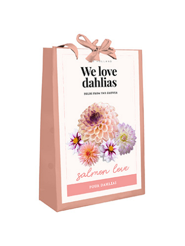 X 1 TAS 4 DAHLIAS 'WE LOVE DAHLIAS' SALMON LOVE I