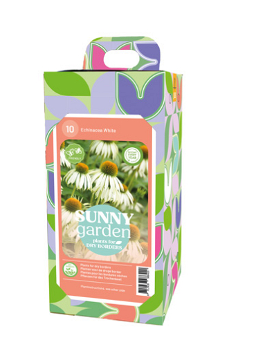 X 1 BOX SUNNY GARDEN 10 ECHINACEA WHITE I