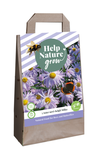 X 1 TAS 5 ASTER NOVI BELGII MILKA - HELP NATURE GROW I