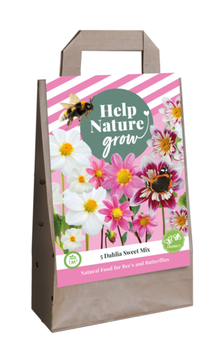 X 1 TAS 5 DAHLIA SWEET MIX - HELP NATURE GROW I