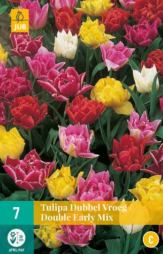 X   7 TULIPA DUBBEL VROEG MIX 11/12