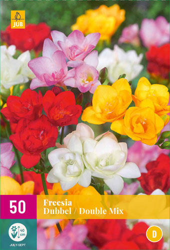 X 50 FREESIA DUBBEL MIX 5/+