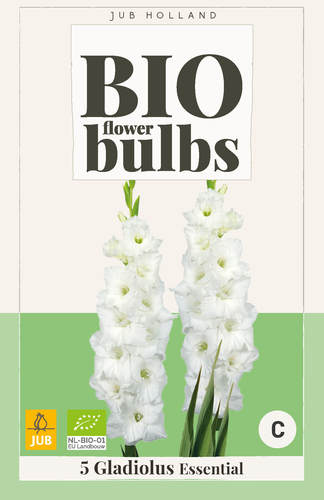 X 5 BIO GLADIOLUS ESSENTIAL 10/12