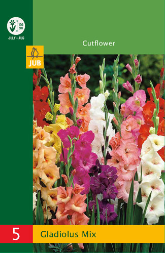 X   5 GLADIOLUS MIX 10/12