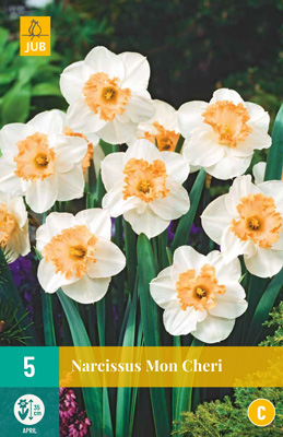 X   5 NARCISSUS MON CHERI 12/14