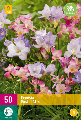 X 50 FREESIA PASTEL MIX 5/+