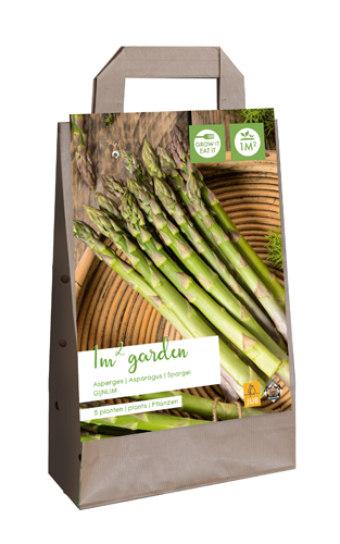 X 1 GARDEN BAG 5 ASPARAGUS / ASPERGE GIJNLIM  I