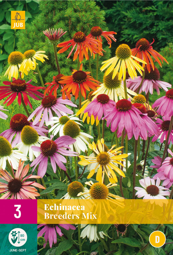 X 3 ECHINACEA BREEDERS MIX I