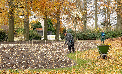 Handmatig planten