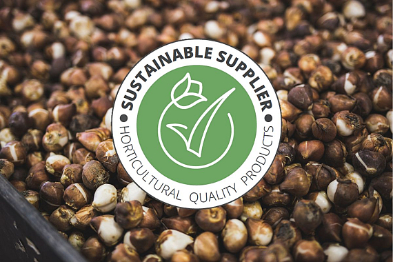 Sustainable Supplier