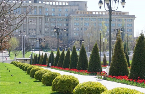 Tulp 'Uranus' in bloei in Roemeense parlementstuin