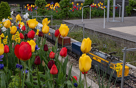 Madurodam in bloei