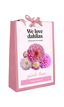 X 1 TAS 4 DAHLIAS 'WE LOVE DAHLIAS' PINK LOVE I