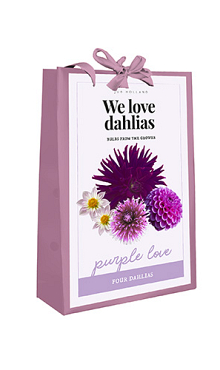 X 1 TAS 4 DAHLIAS 'WE LOVE DAHLIAS' PURPLE LOVE I