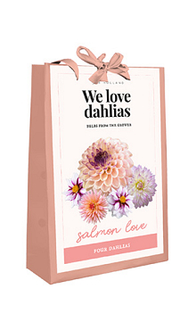 X 1 TAS 4 DAHLIAS 'WE LOVE DAHLIAS' SALMON LOVE I