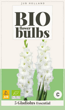 X 5 BIO GLADIOLUS ESSENTIAL 10/12