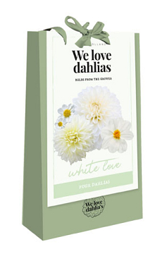 X 1 TAS 4 DAHLIAS 'WE LOVE DAHLIAS' WHITE LOVE I