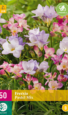 X 50 FREESIA PASTEL MIX 5/+