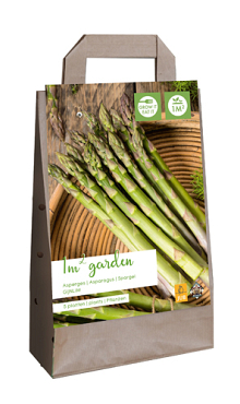 X 1 GARDEN BAG 5 ASPARAGUS / ASPERGE GIJNLIM  I