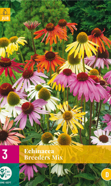 X 3 ECHINACEA BREEDERS MIX I